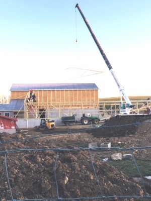 Raising the Roof...