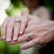 Daystar Photography Image
