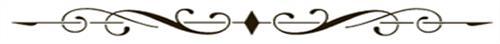 Divider_line.jpg?mtime=20180322105418#asset:288