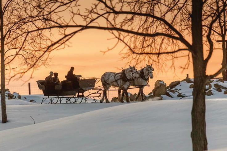 Sleigh-Ride-5.jpg?mtime=20180322113631#asset:310