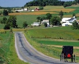 What to Do in Amish Country