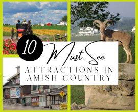 10 Must See Attractions in Amish Country