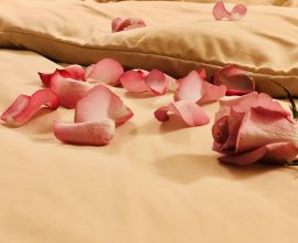 Valentine's Day is Coming