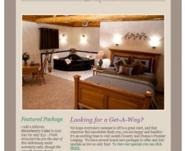 Newsletter Sign Up