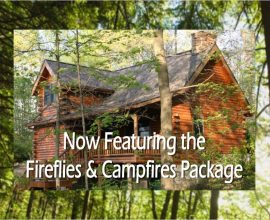 NEW Fireflies and Campfires Package