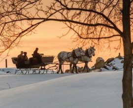 NEW Winter Packages