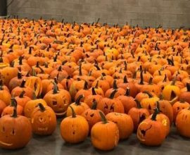 Fall Fun in Amish Country