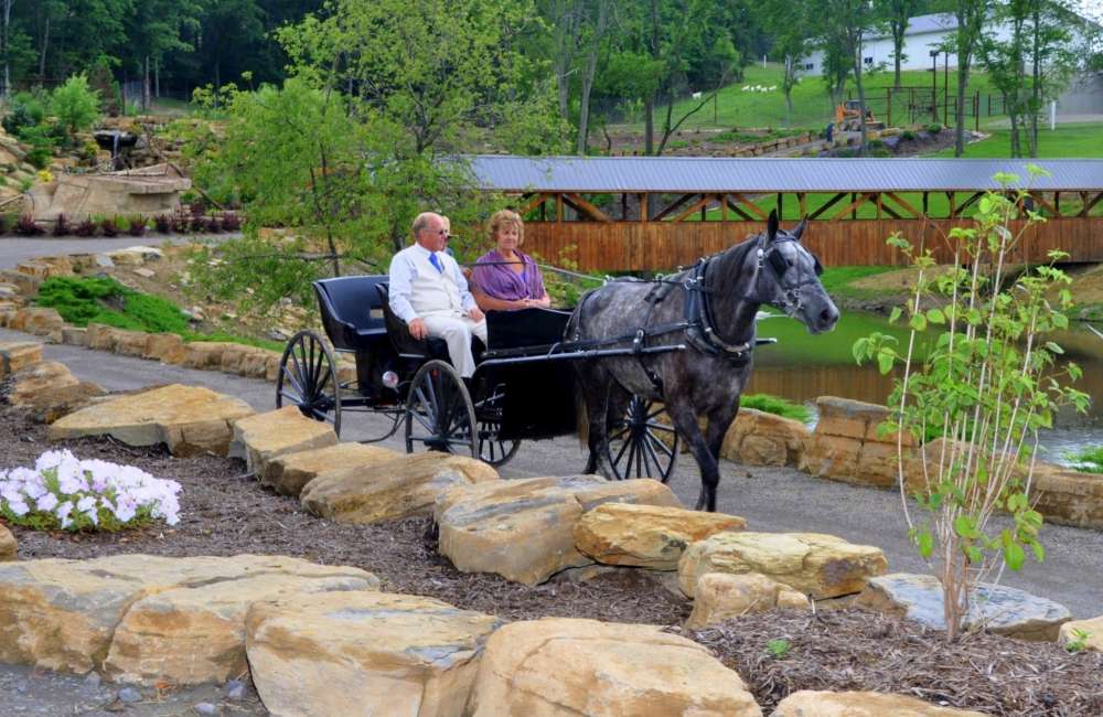 Safari Carriage / Sleigh Ride