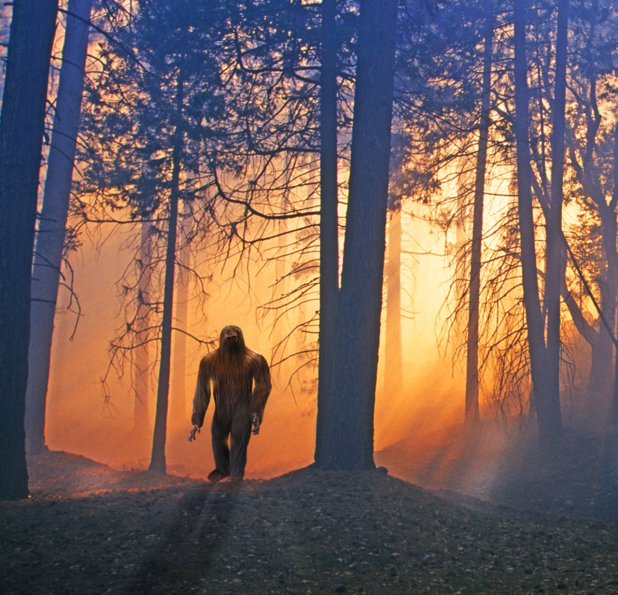 Myths and Legends of Holmes Co.