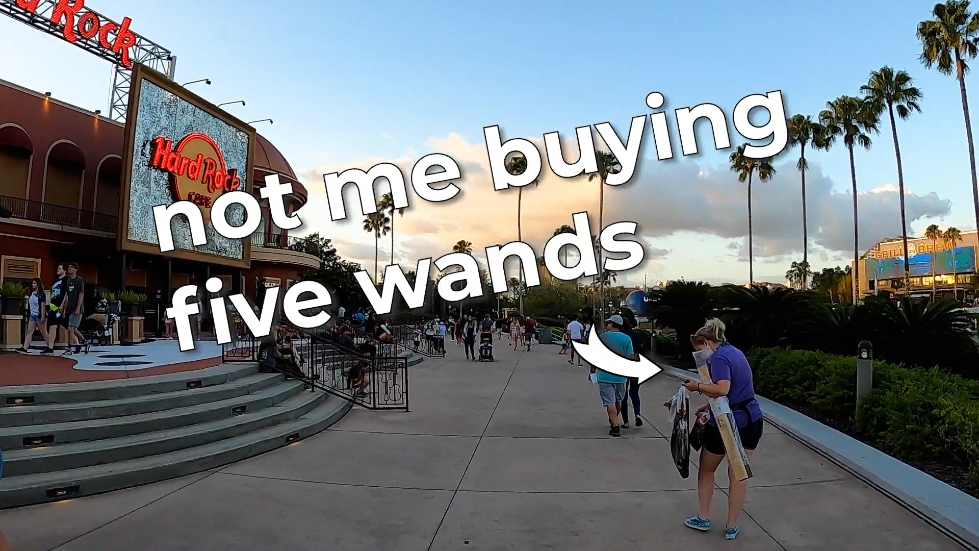 harry potter wand collector